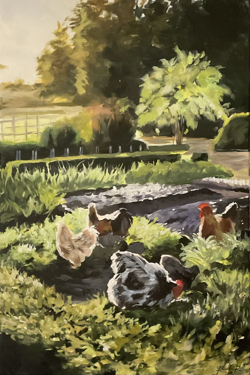 Chickens? Chickens!